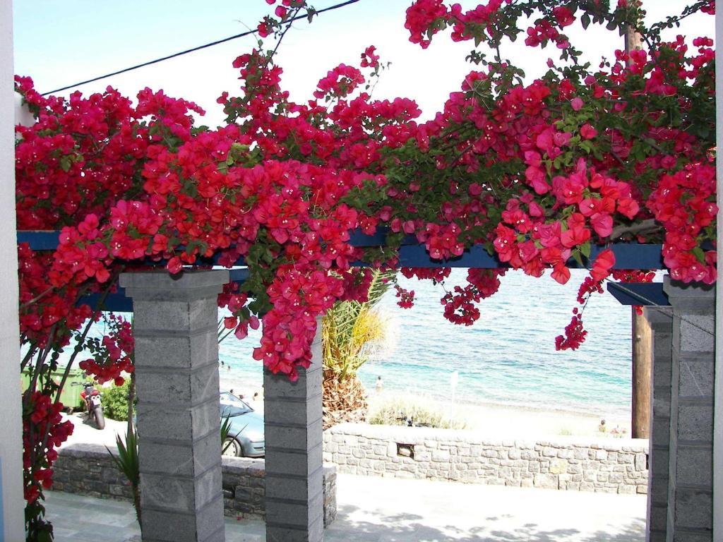 Theoxenia Chios Apartments Ajíasz Fotinísz-part Kültér fotó